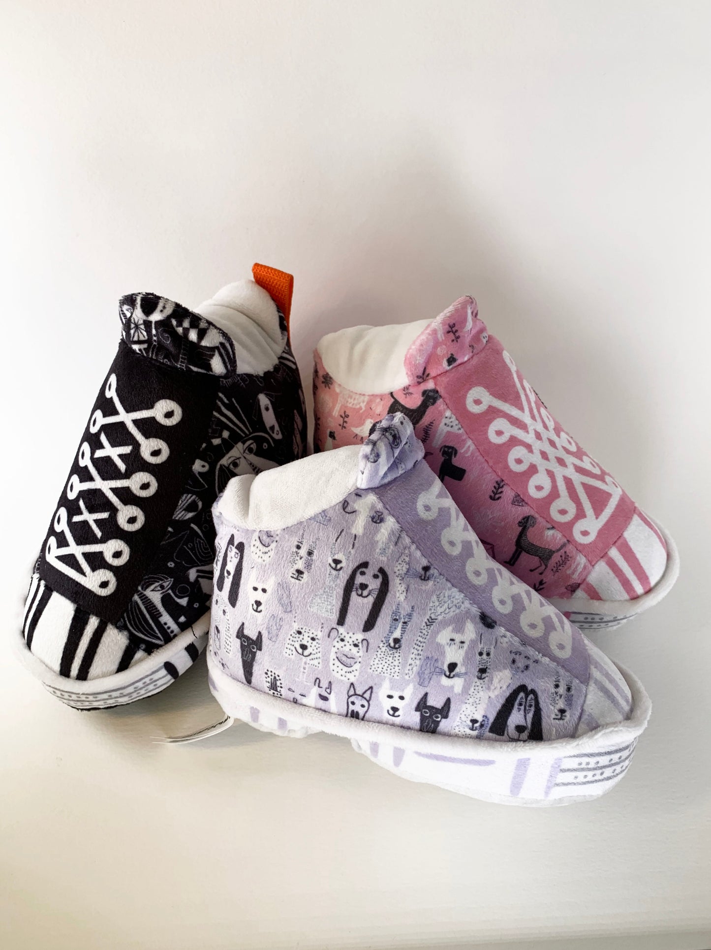 Pawcasso Sneaker Package#01