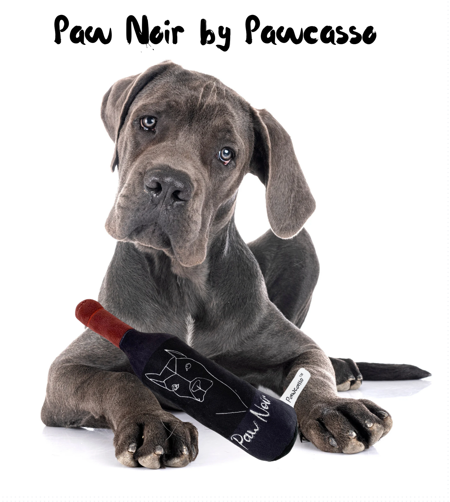 Paw Noir Wine Package