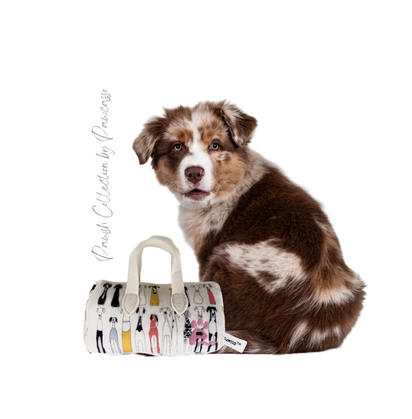 Pawcasso Purse Package #01