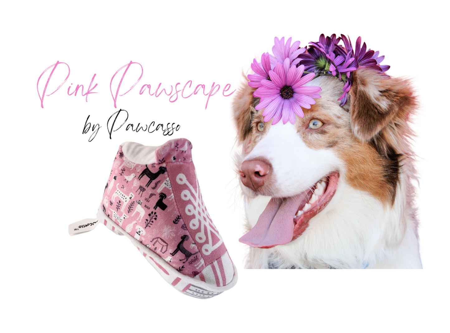 Pawcasso Sneaker Package#01