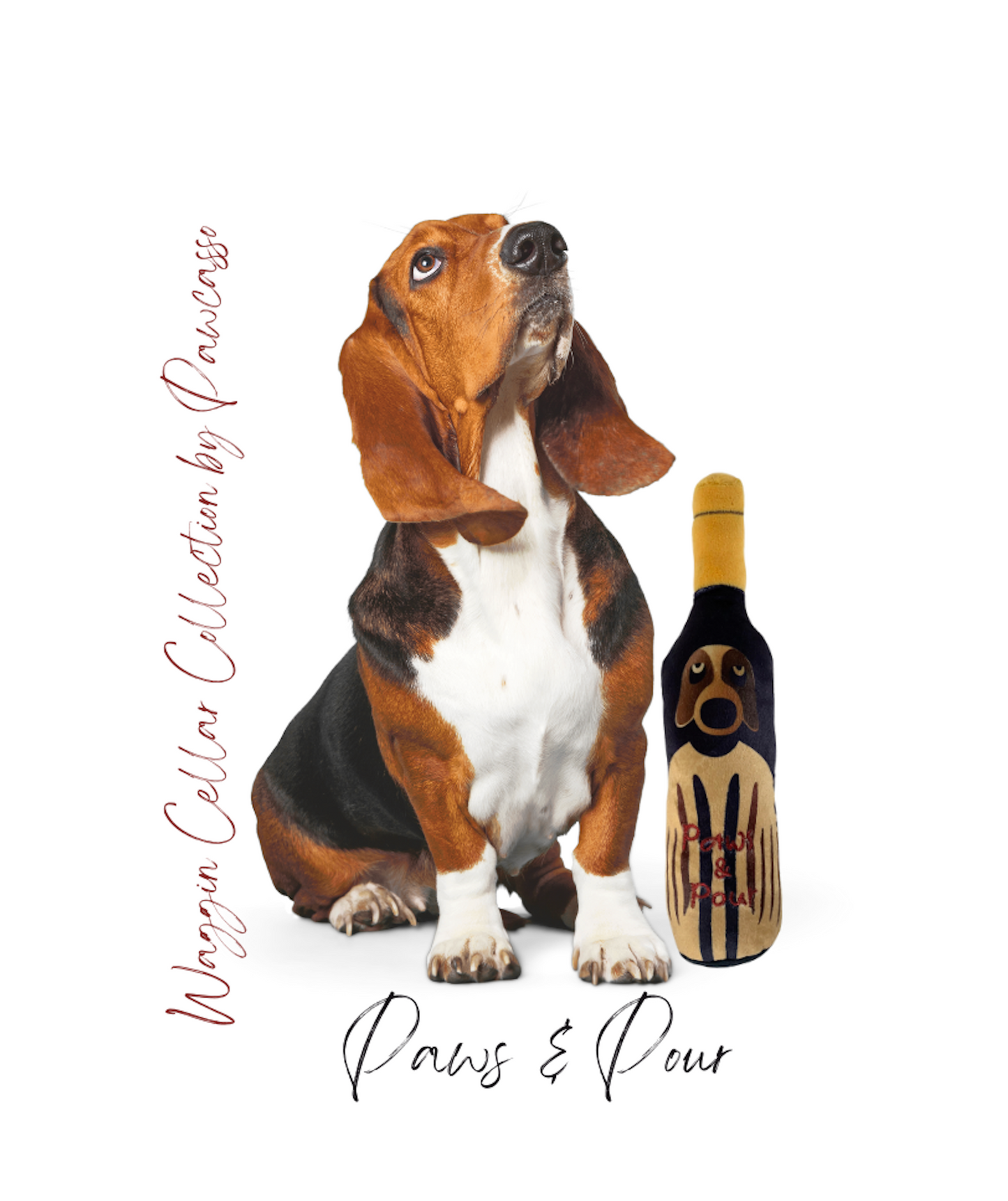 Paws and Pour