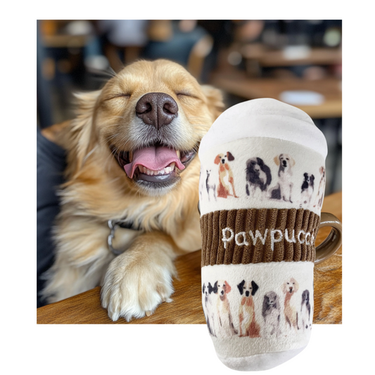 Pawpuccino Dark