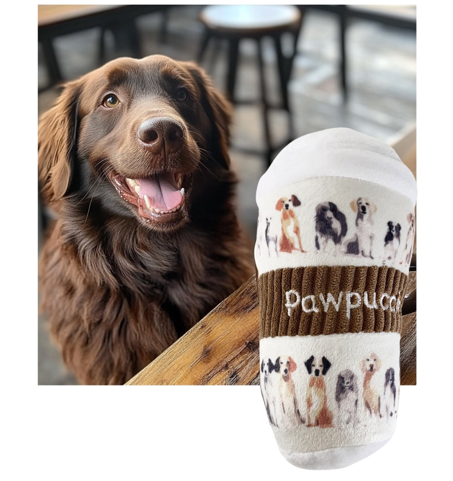 Pawpuccino Dark