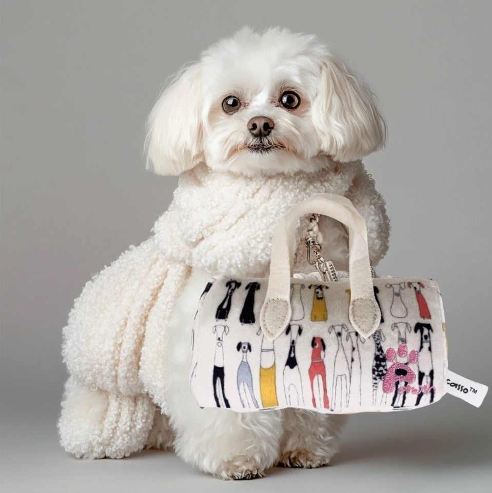 Pawcasso Purse Package #01