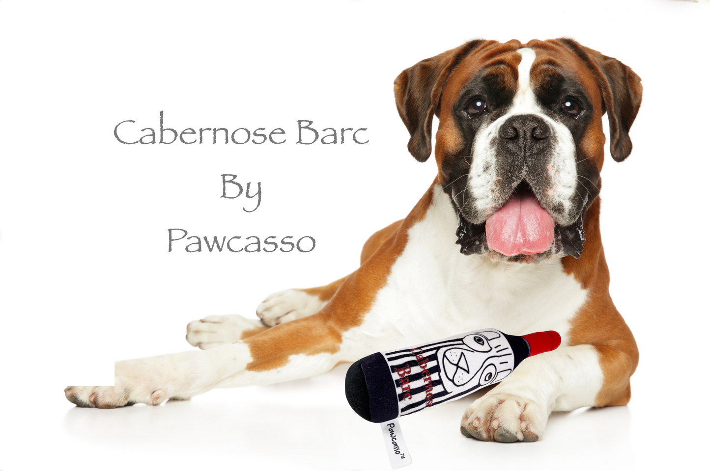 Cabernose Barc