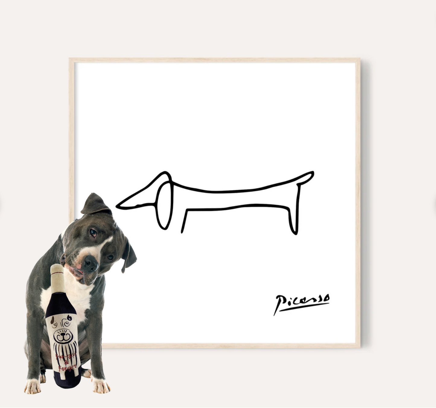 Pup & Vino Wisdom Package #01