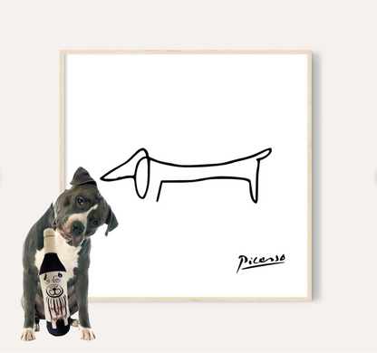 Pup & Vino Wisdom Package #02