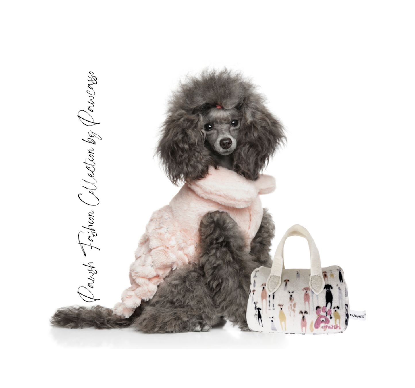 Pawcasso Purse Package #01