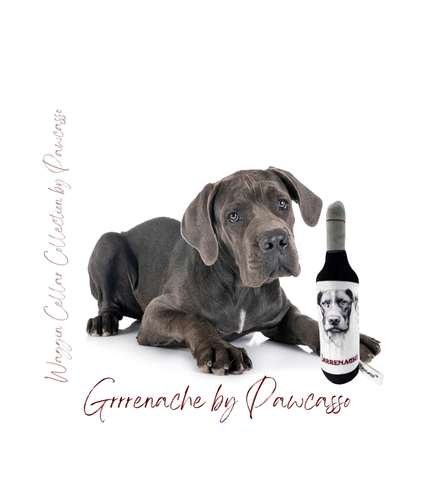Realism Wine Package #01