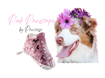 Pawcasso Sneaker Package#01