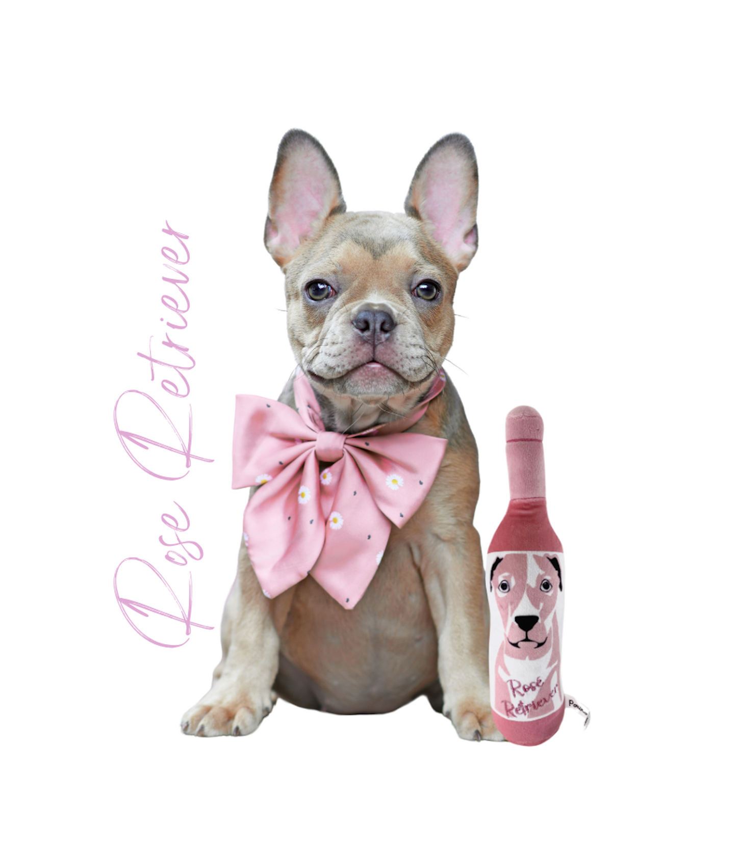 Paws & Pour Classic Quartet Package #03