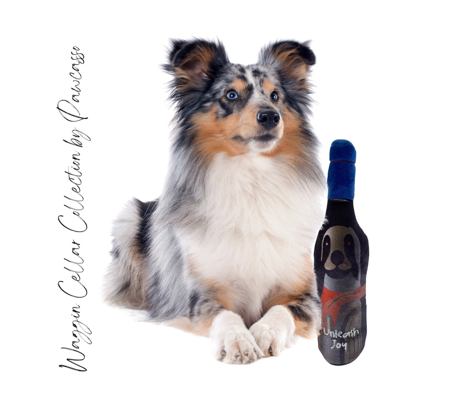 Pup & Vino Wisdom Package #02