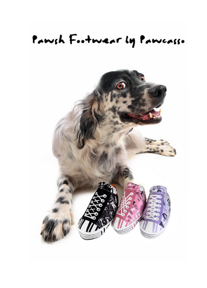 Pawsso-Inspired Kicks