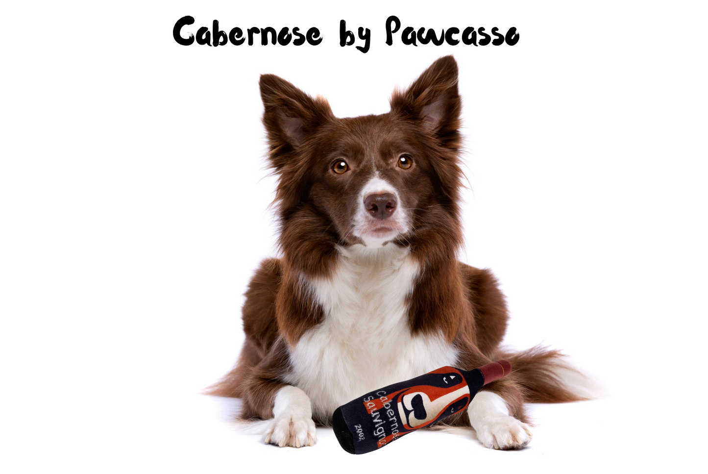 Cabernose Sauvignon