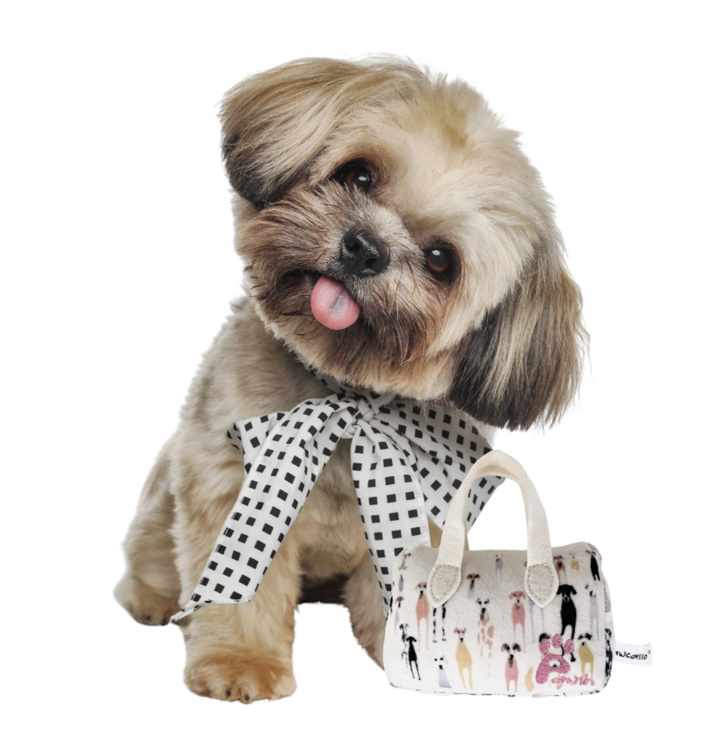 Pawcasso Purse Package #01