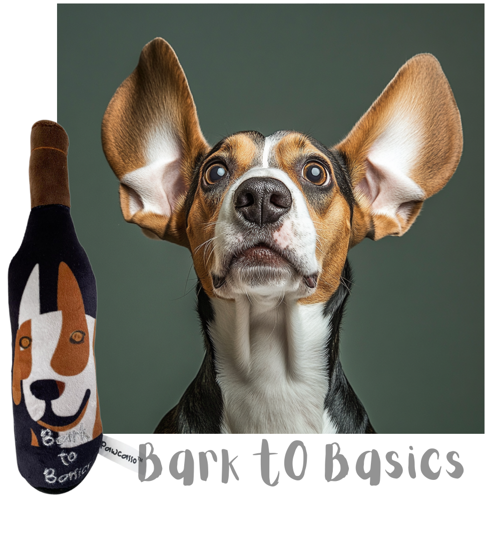 Bark to Basics