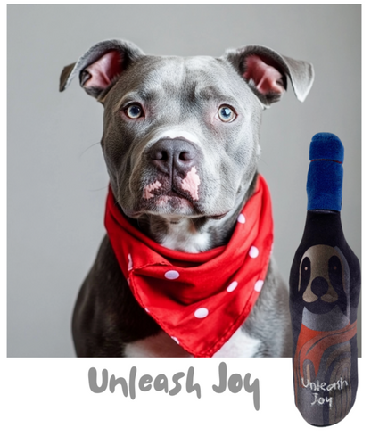 Unleash Joy