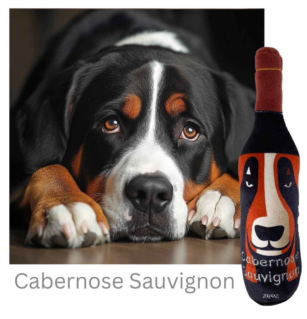 Cabernose Sauvignon